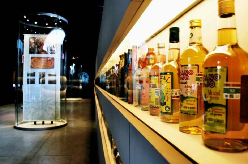 TEQUILA MUSEUM  00p01 - Habibi World Travel & Tour